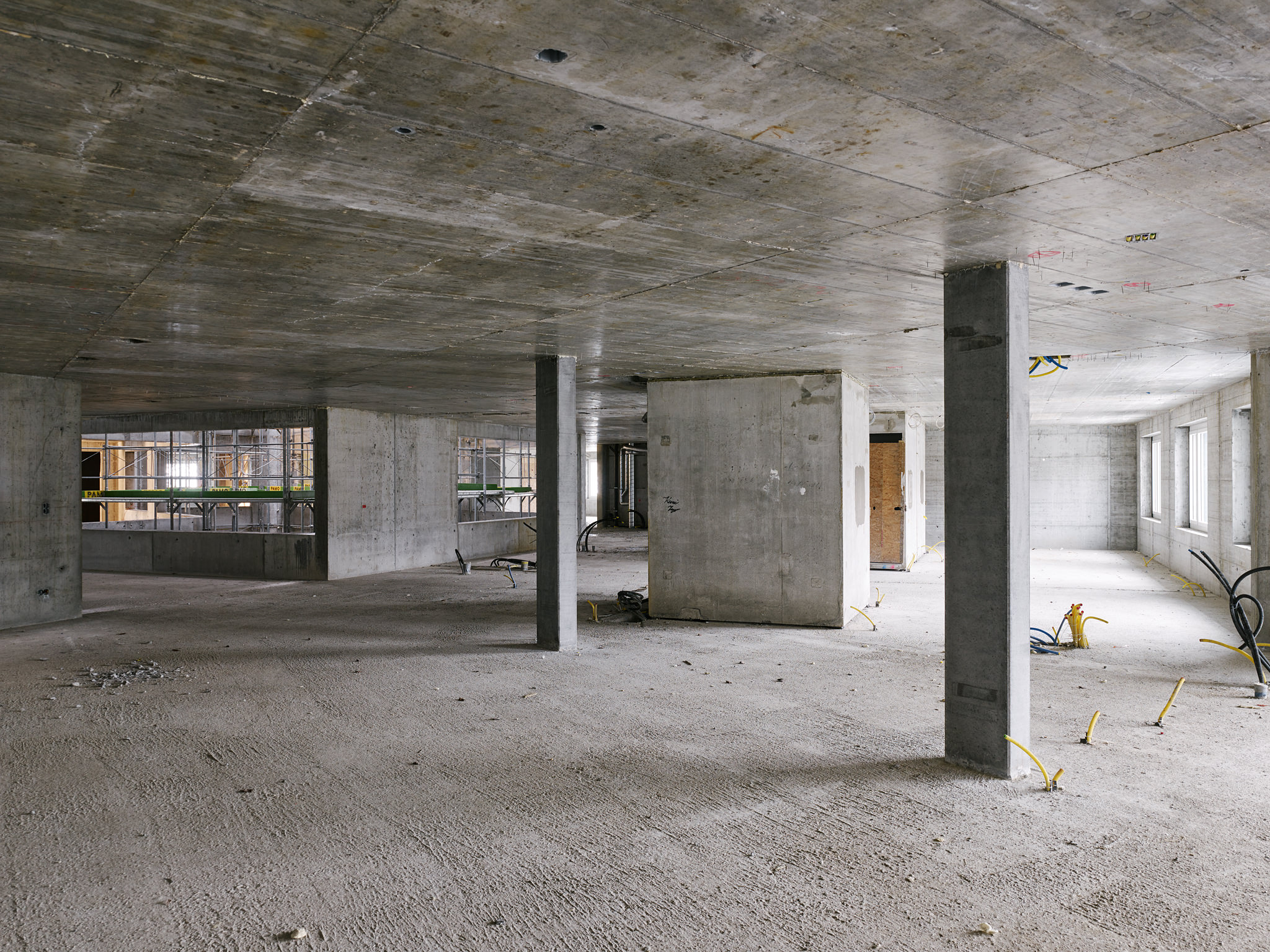 E15541 Alpa 049159 SCREEN